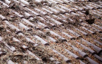 Darlaston roof cleaning companies